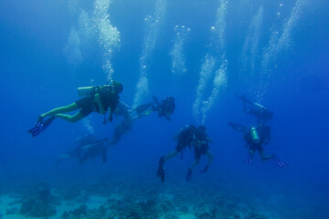lot of diver with blubbles in deep blue water on vacation