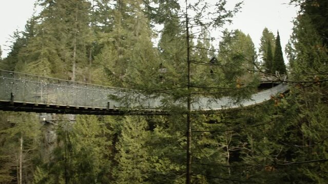 Capilano Suspension Bridge in Vancouver, Canada