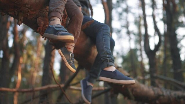 children sitting on a tree in the park. happy family childhood dream concept. children dangle their legs while sitting resting on a fallen tree trunk in lifestyle the forest in the park