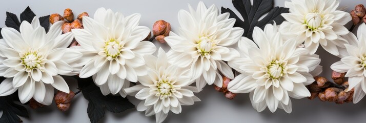 Black White Flowers Funeral Chrysanthemums Bouquet , Banner Image For Website, Background, Desktop Wallpaper