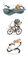 the vector  funny cartoon illustration of the triathlon. Fynny Sheep animal character. T shirt , banner design