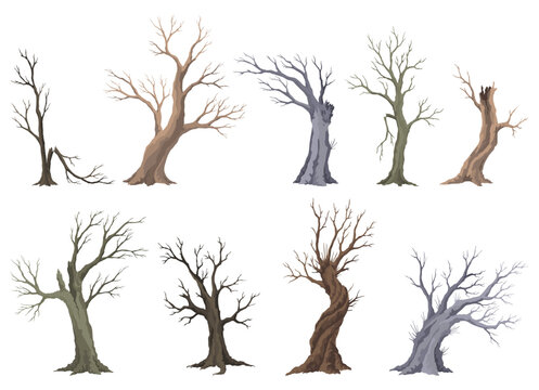 Old dead tree set, rough spooky bark, dry naked branch silhouette. Vector scary forest, leafless trunk. Nature ecology problems concept. Winter or autumn season plants icon isolated
