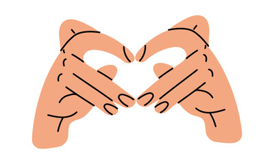 Hands shows a heart-shaped gesture, an artistic illustration of a hand drawing line. The fingers show a folded heart on a white background. The concept of human body language denoting love. Vector