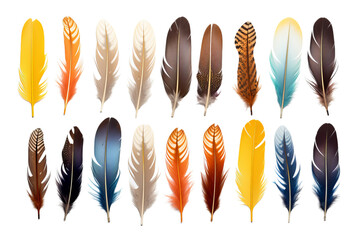 Collection of colorful feathers on isolated on white background