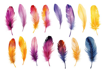 Colorful feathers on isolated on white background  - obrazy, fototapety, plakaty
