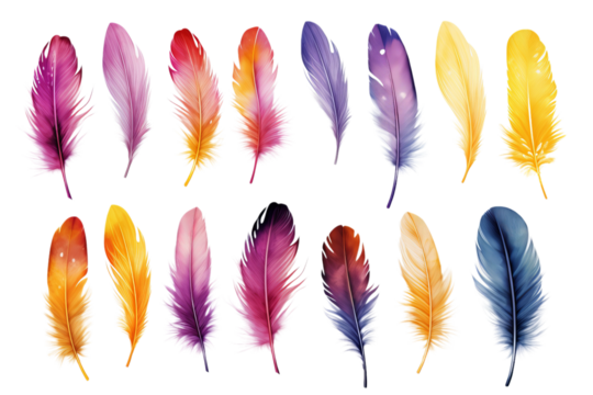 Colorful feathers on isolated on white background 