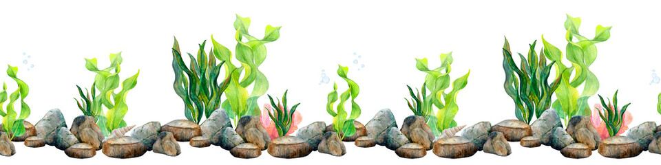 Seaweed and stones grey smooth bottom seamless border. Watercolor illustration of underwater algae and sea brown rocks on white background