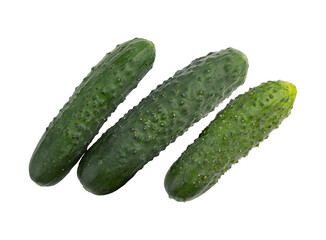 fresh cucumbers isolated