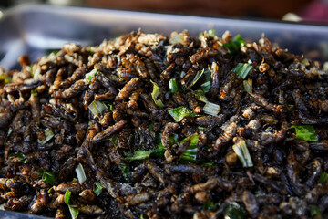 Deep fried Mole crickets at street market