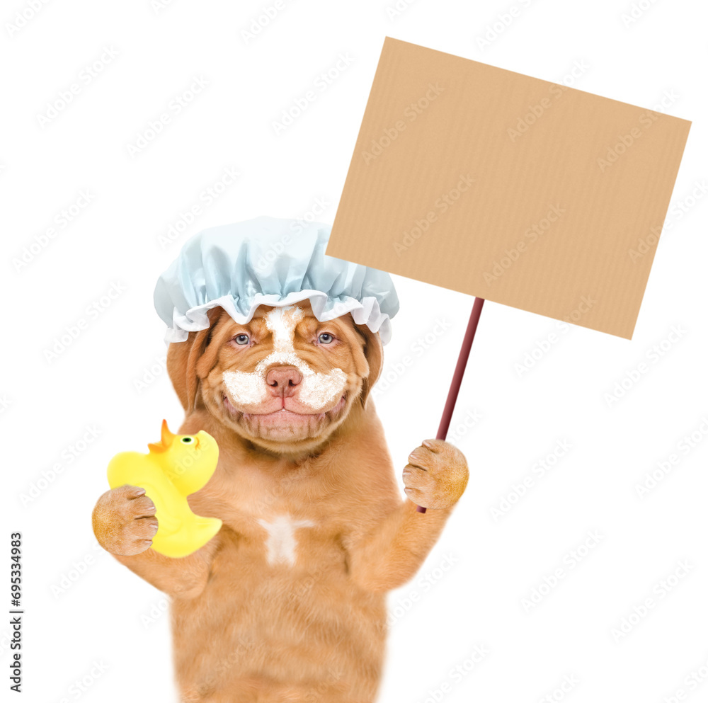 Poster funny mastiff puppy wearing shower cap with cream on it face holds rubber duck and shows empty placa