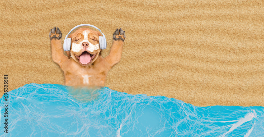 Poster funny mastiff puppy covered with suntan lotion or sunblock relaxing at sunny beach and listening mus