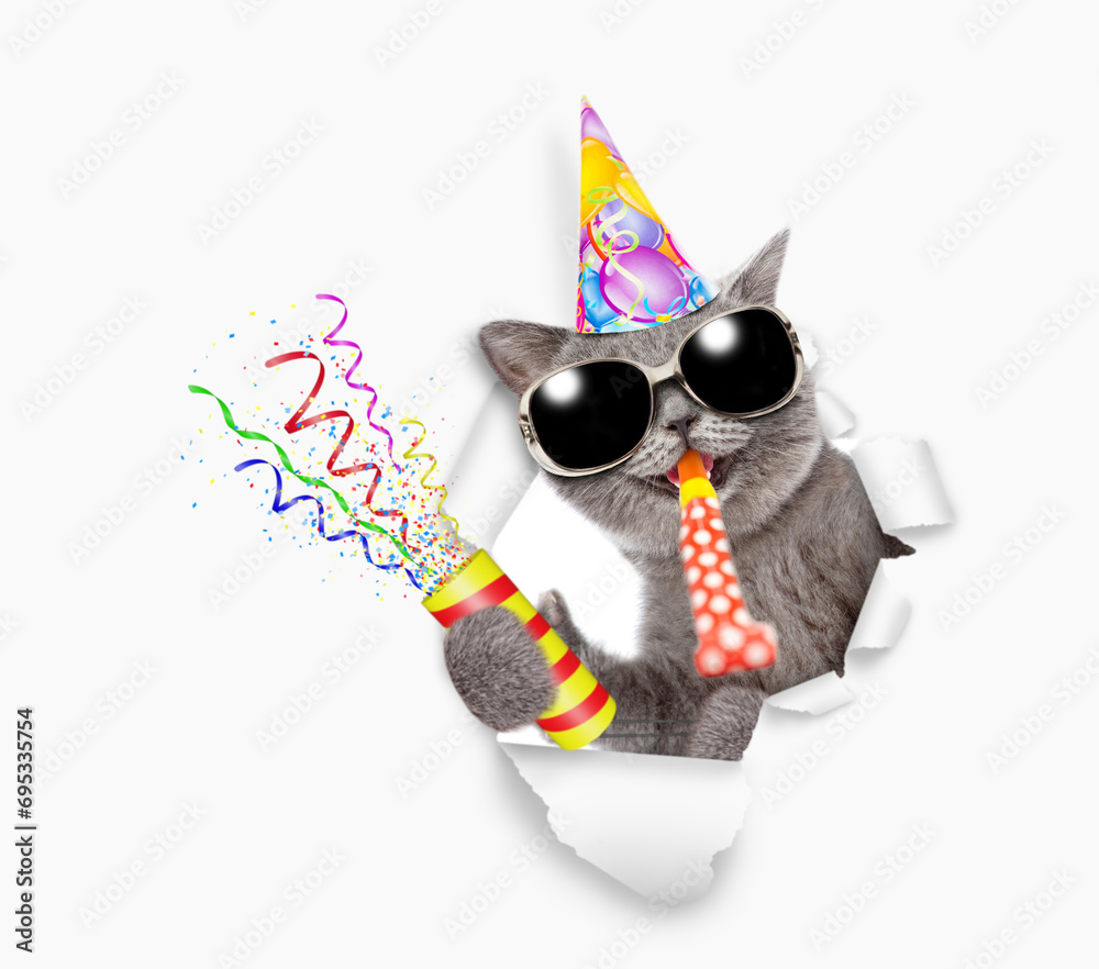 Poster happy cat wearing sunglasses and party cap looks through a hole in white paper, blows in party horn 