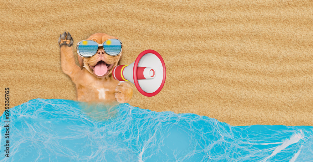 Poster happy mastiff mastiff puppy wearing mirrored sunglasses lying at sunny beach and screaming into a me