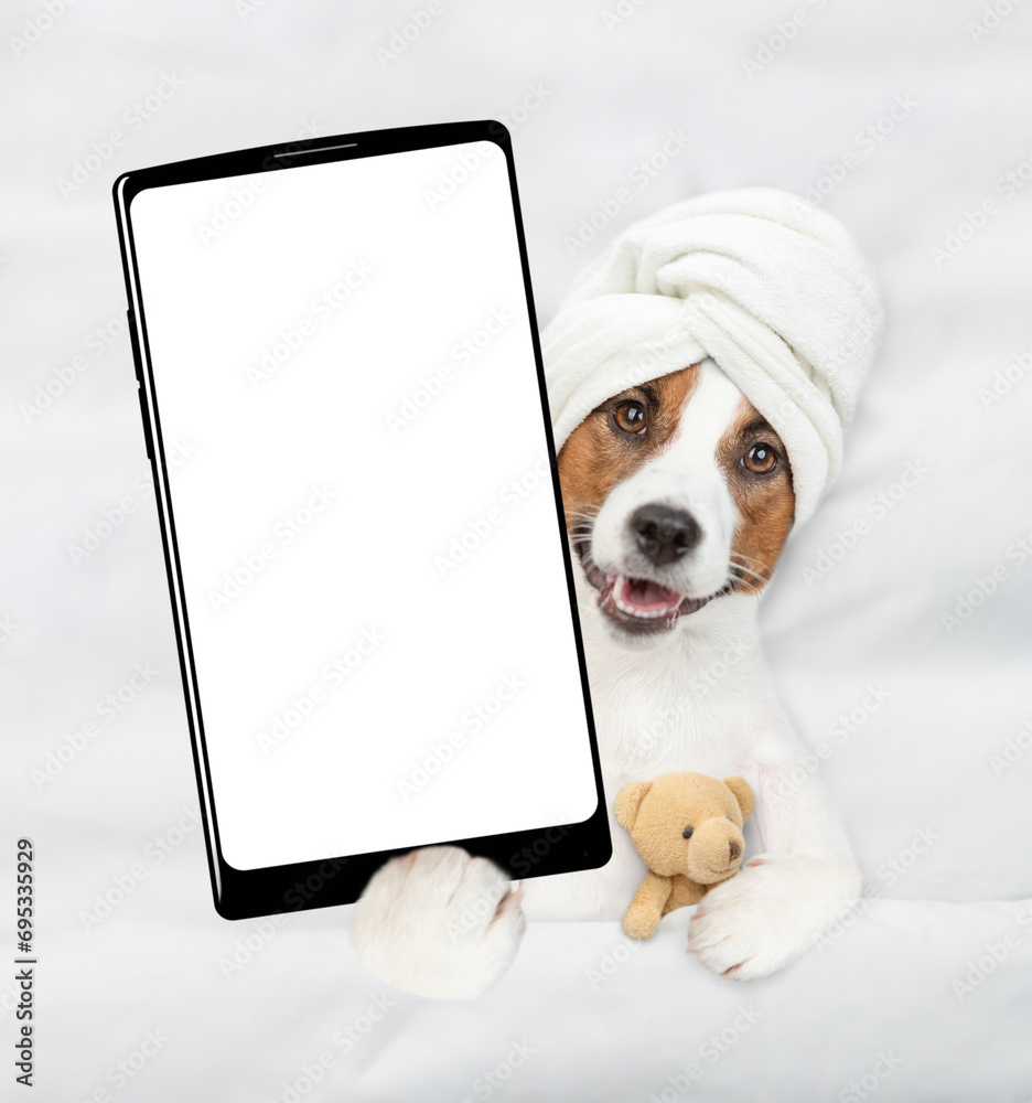 Poster jack russell terrier puppy with towel on it head relaxing with toy bear on the bed at home and showi