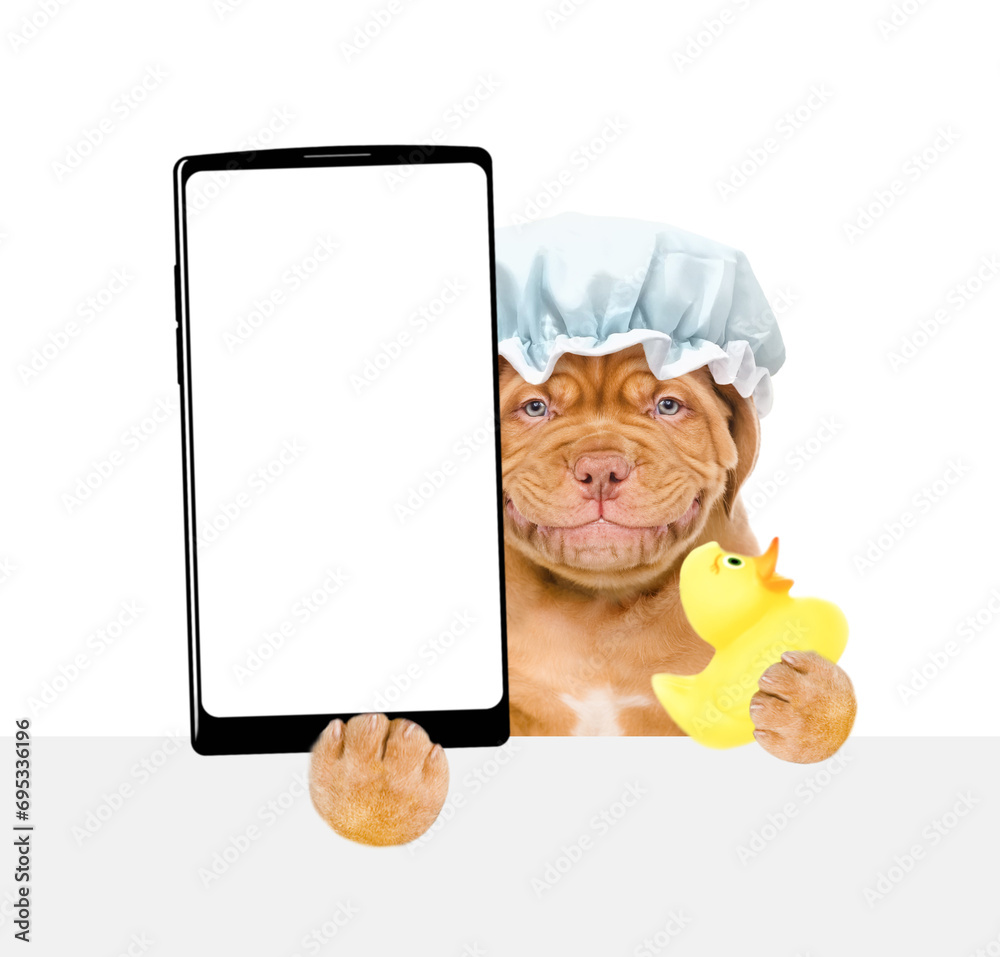Poster mastiff puppy wearing shower cap holds rubber duck and big smartphone with white blank screen in it 