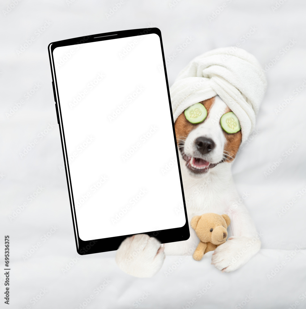 Poster jack russell terrier puppy with towel on it head and with a piece of cucumber on it eyes relaxing on the bed at home and showing big smartphone with white blank screen in it paw. Top down view