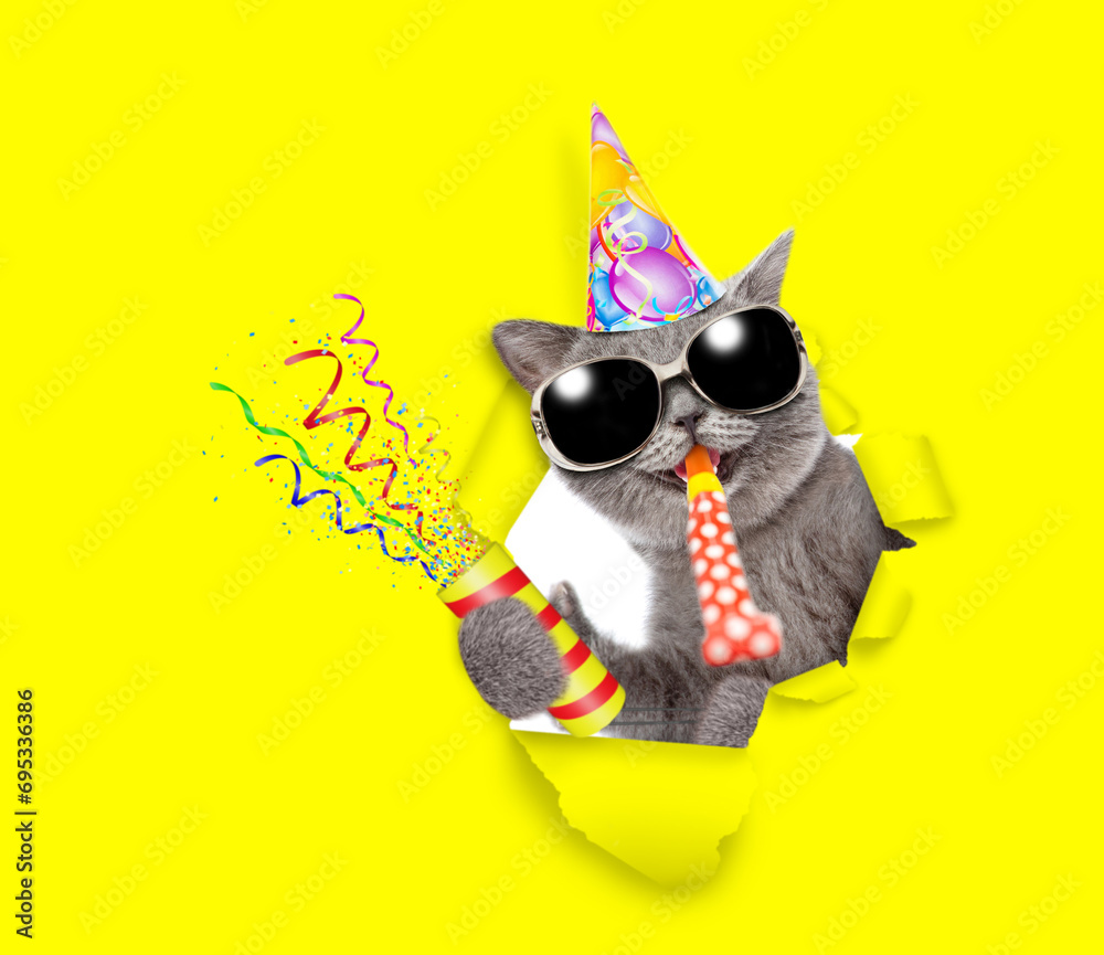 Poster happy cat wearing sunglasses and party cap looks through the hole in yellow paper, blows in party ho