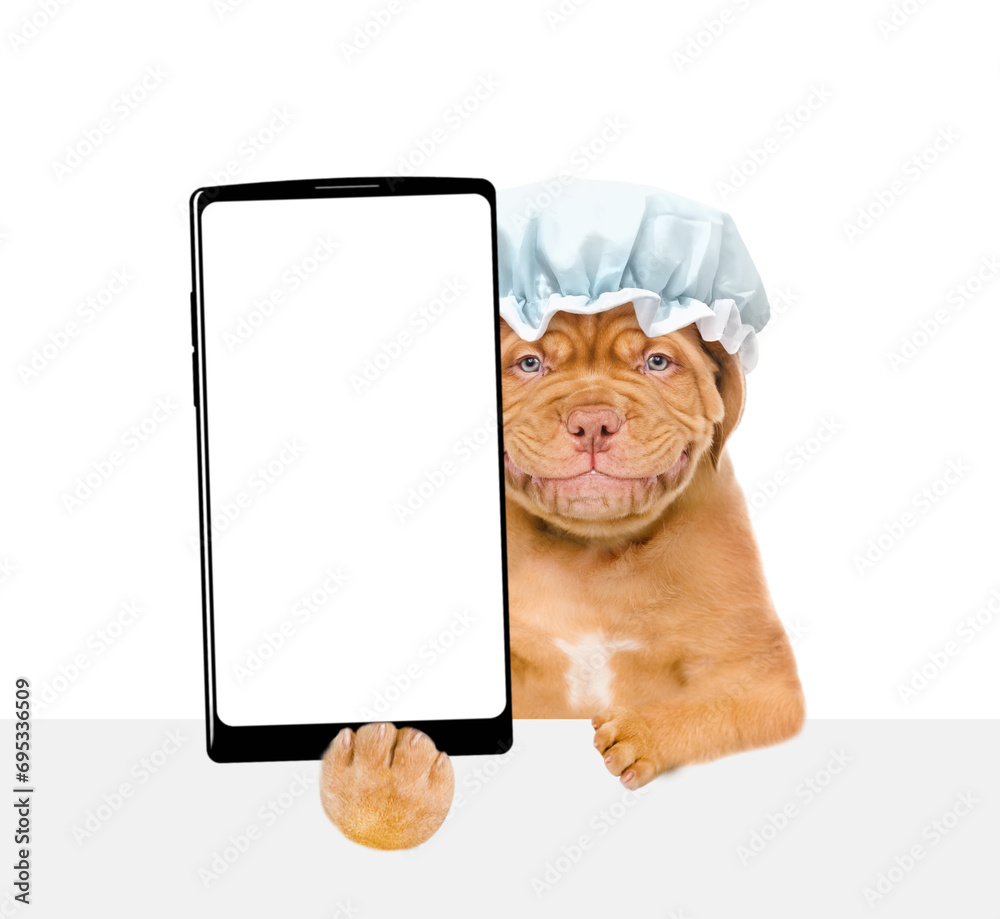 Poster mastiff puppy wearing shower cap holds big smartphone with white blank screen in it paw above empty 