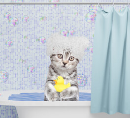 Funny kitten covered with soap bubbles takes the bath with rubber duck in bathroom at home
