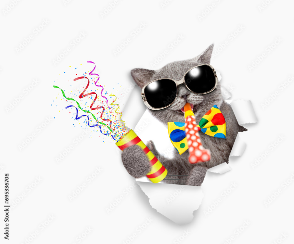 Poster happy cat wearing sunglasses and tie bow looks through the hole in white paper, blows in party horn 