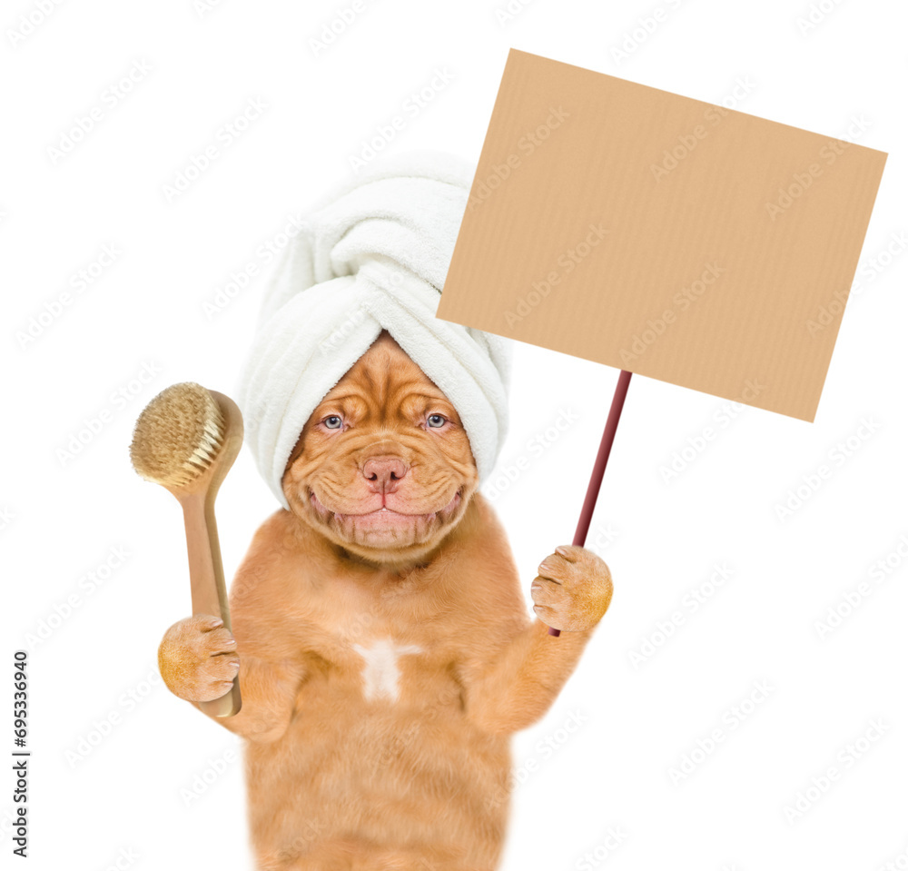 Aufkleber funny mastiff puppy with towel on it head holds shower brush and shows empty placard. isolated on wh