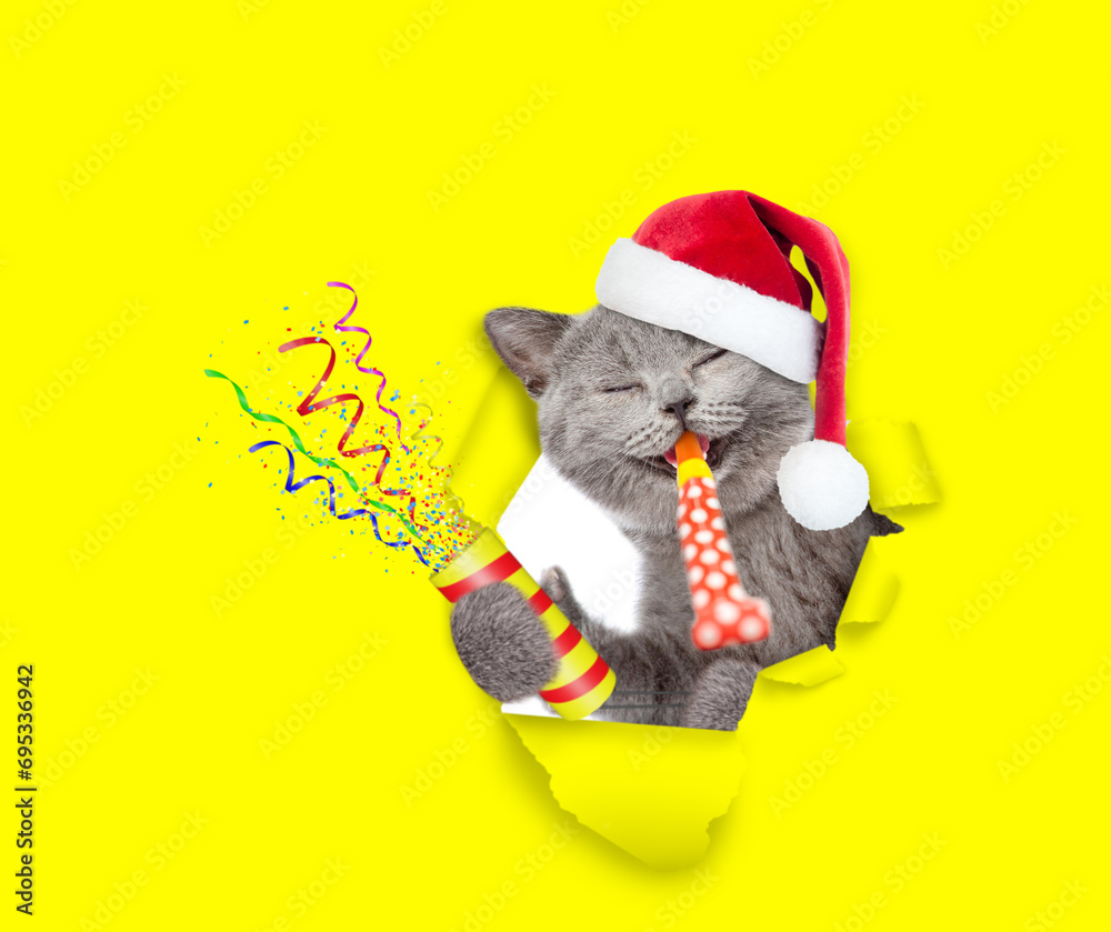 Poster laughing cat wearing sunglasses and red santa hat holds exploding firecracker, blows in party horn a