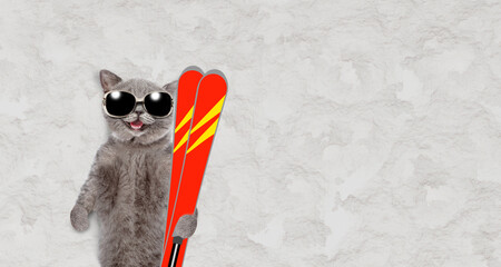 Happy cat wearing sunglasses lying on the snow and holding skis in it paw. Empty space for text