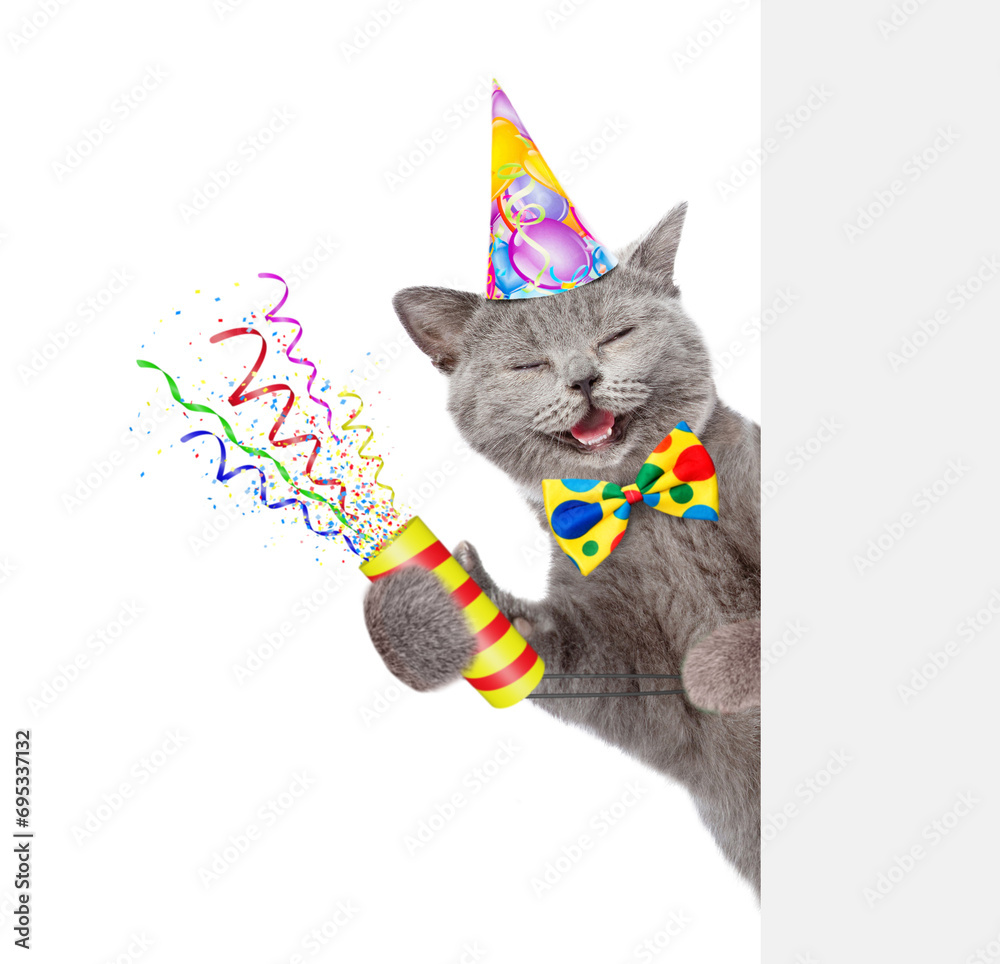 Aufkleber Happy cat wearing party cap and tie bow holds exploding firecracker and looks from behind empty white banner. Isolated on white background