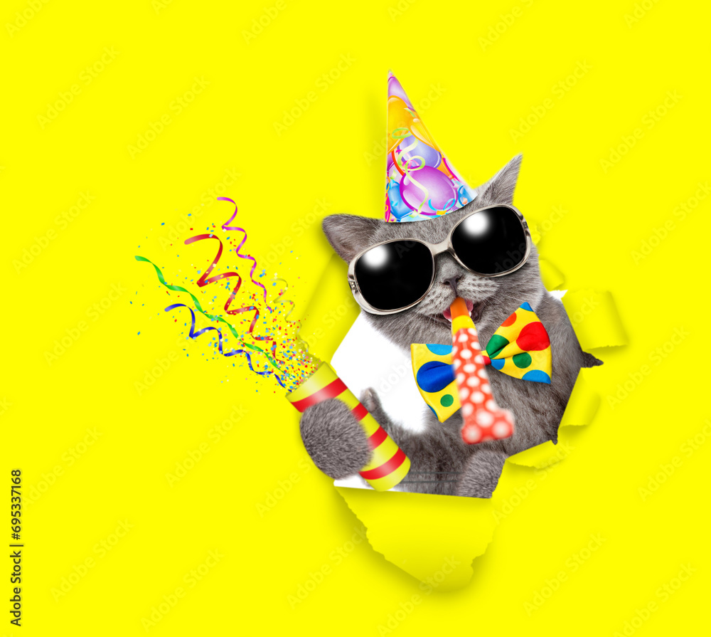 Aufkleber happy cat wearing sunglasses, tie bow and party cap looks through a hole in yellow paper, blows in p
