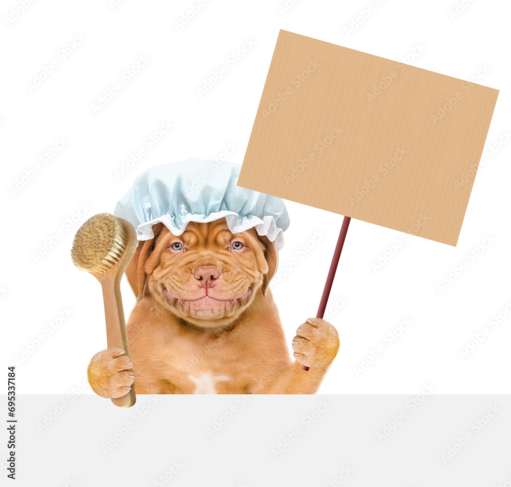 Poster funny mastiff puppy wearing shower cap holds shower brush and empty placard above empty white banner