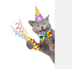 Happy cat wearing party cap and tie bow holds exploding firecracker and looks from behind empty...