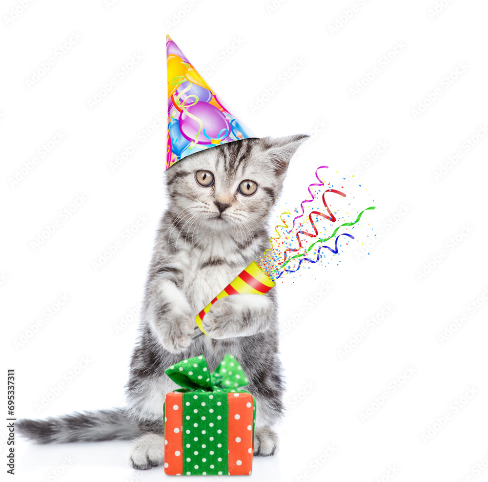 Poster cute cat wearing sunglasses and party cap holds exploding firecracker. isolated on blue background