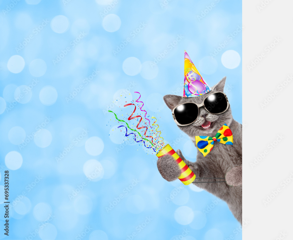 Aufkleber Happy cat wearing party cap holds exploding firecracker and looks from behind empty white banner. festive blured background