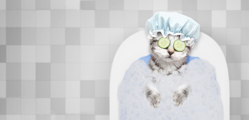 Tabby kitten with shower cap, with pieces of cucumber on it eyes and with cream on it face takes the bath at home. Top down view. Empty spaqce for text