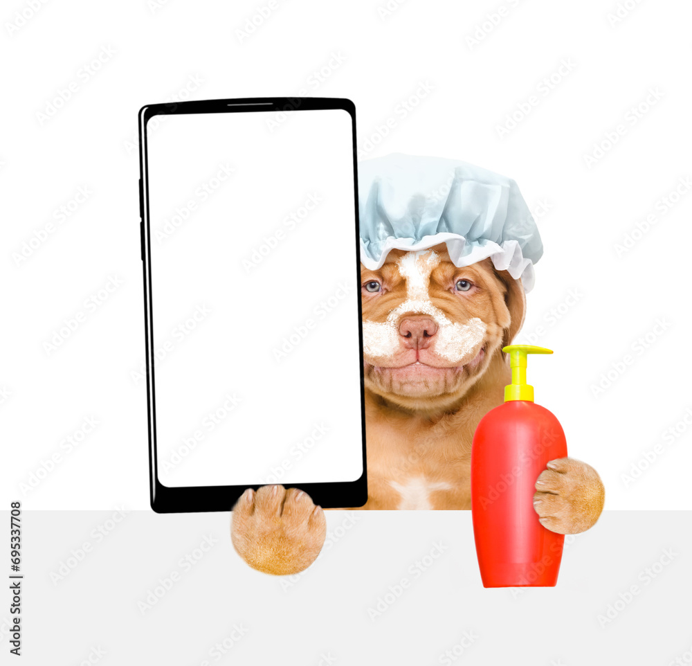 Aufkleber mastiff puppy wearing shower cap holds bottle of fleas shampoo and big smartphone with white blank s
