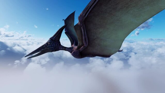 An extreme close-up of a Pterosaur flying high above the clouds.