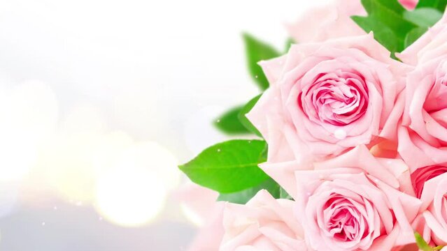 Pink roses on bright bokeh background with sunlight,