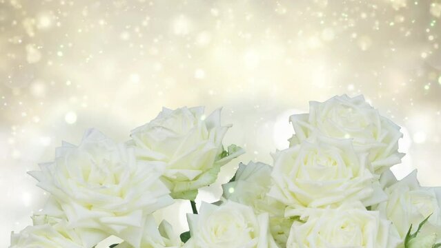 White roses on bright bokeh background with sunlight,