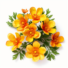 Fototapeta na wymiar Bouquet of yellow orange