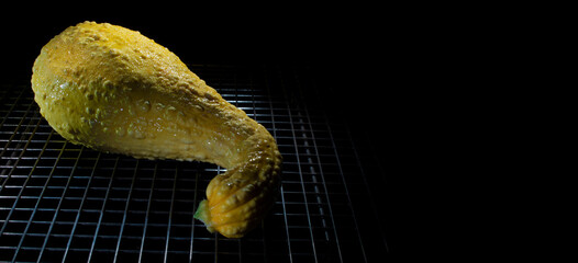 Room for text next to a yellow squash grown in a garden