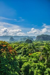 Viales, Cuba - July 10 2018 : A view of the valley of Viales. Tropical and almost a rain forest....