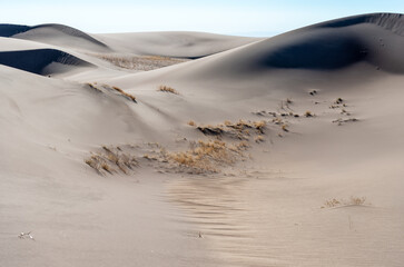 Wide view of high sand dunes, Great Sand Dunes National Park, Preserve Colorado
