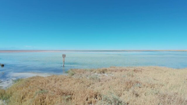 Laguna Cejar near San Pedro de Atacama, Chile, South America