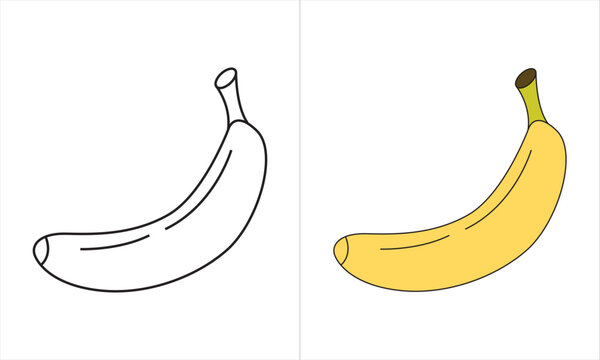 banana icon, vector banana icon, isolated flat banana icon tracing trace doted and colour outline
