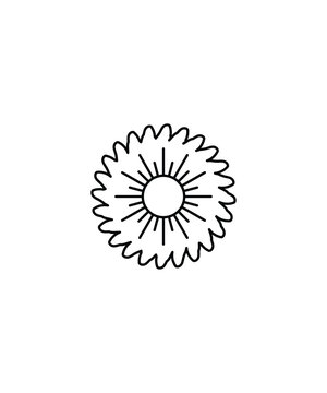 flower icon, vector best line icon.