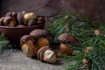 Imleria Badia or Boletus badius mushrooms commonly known as the bay bolete and clay bowl with mushrooms on vintage wooden background..