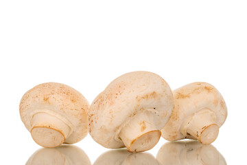 Three organic mushrooms in a straw basket, macro, isolated on white background.