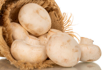 Several organic mushrooms in a straw basket, macro, isolated on white background.