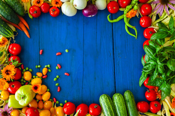 Summer Season Fresh Vegetables from my Domestic Garden Border Frame on Blue Wooden Table Copy Space Background