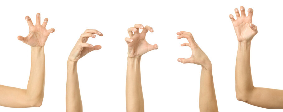Scratch, catch or grab something. Multiple images set of female caucasian hand with french manicure showing Scratch gesture